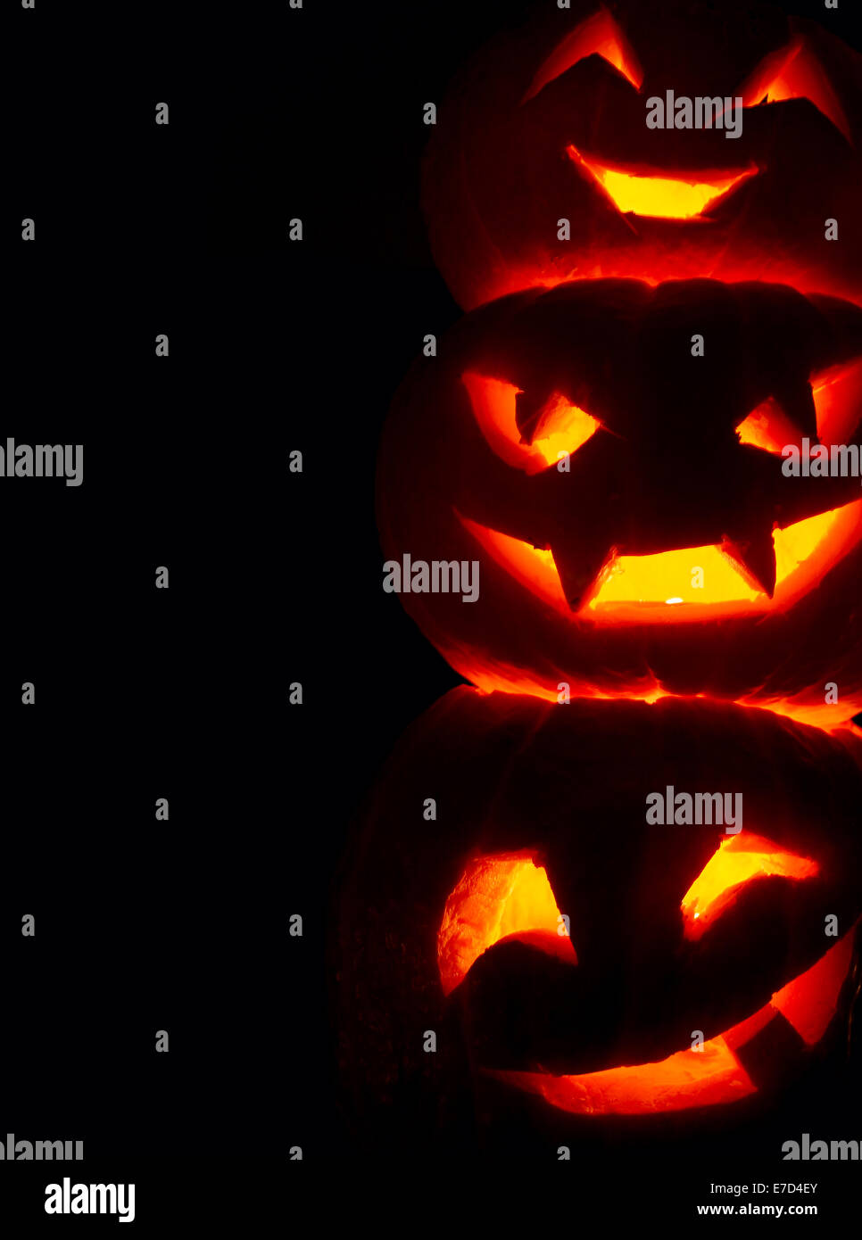 Illuminated cute halloween pumpkins isolated on black background Stock ...