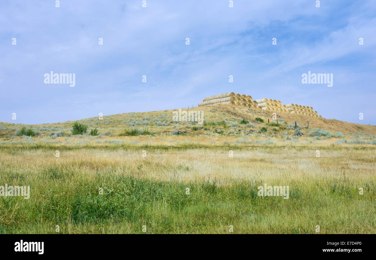 Bales of hay on a ridge top in the midst of prairie and scrub land on a bright sunny day near Vermillion, Nebraska, USA. Stock Photo