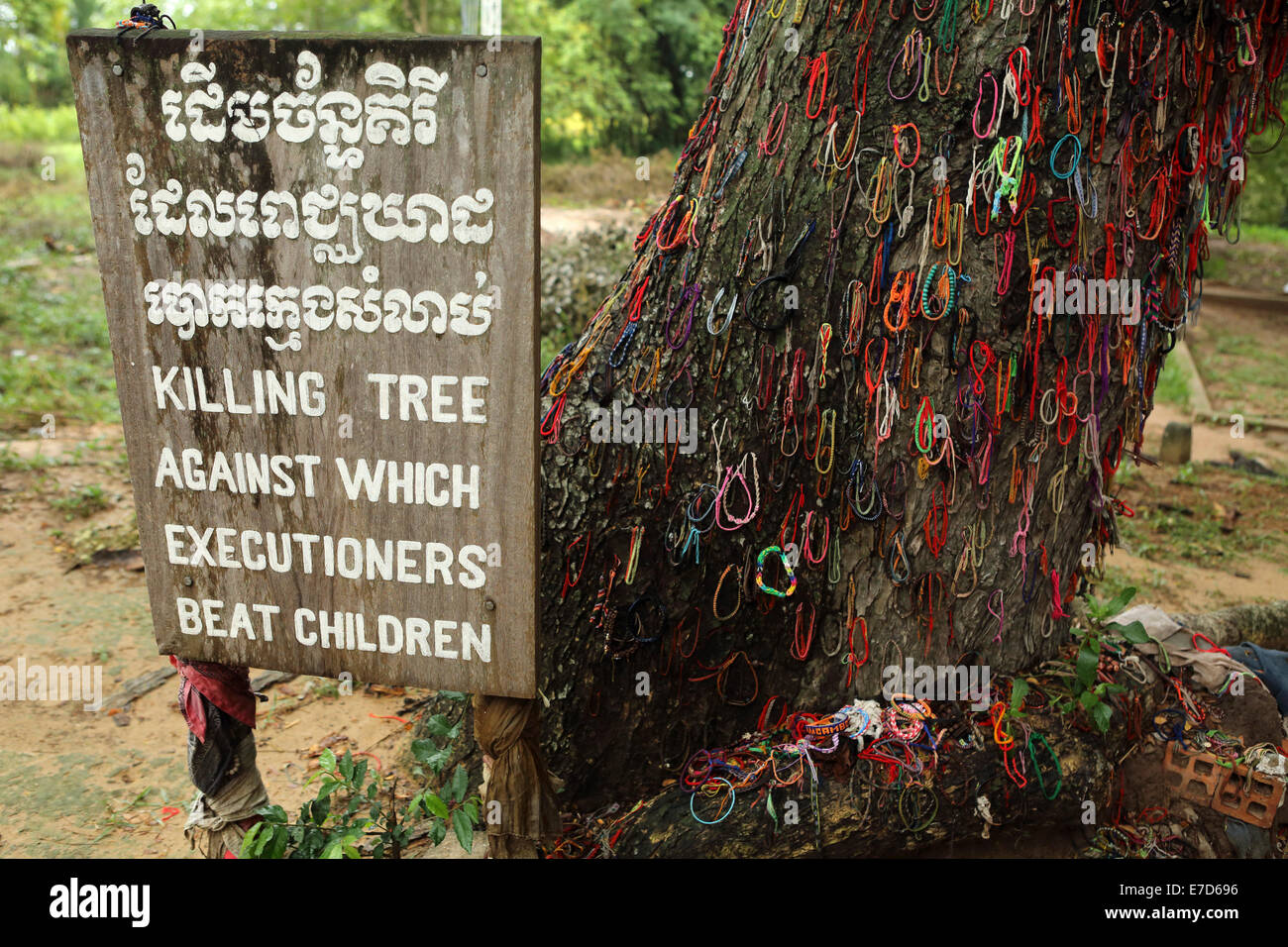 Killing tree at the Choeung Ek Genocide Memorial near Phnom Penh, Cambodia. Stock Photo