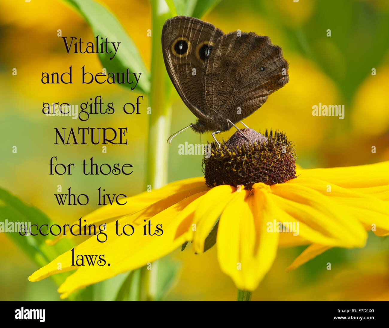 Healing Words High Resolution Stock Photography And Images Alamy Healing Words High Resolution Stock Photography And Images Alamy