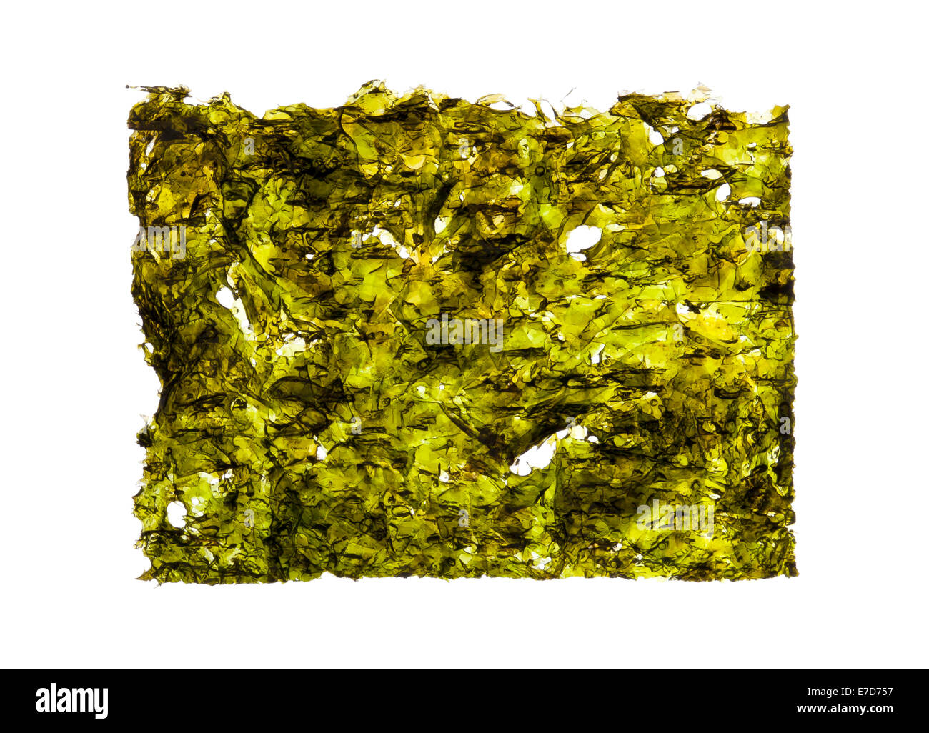 Dry roasted seaweed isolated on white background Stock Photo Alamy