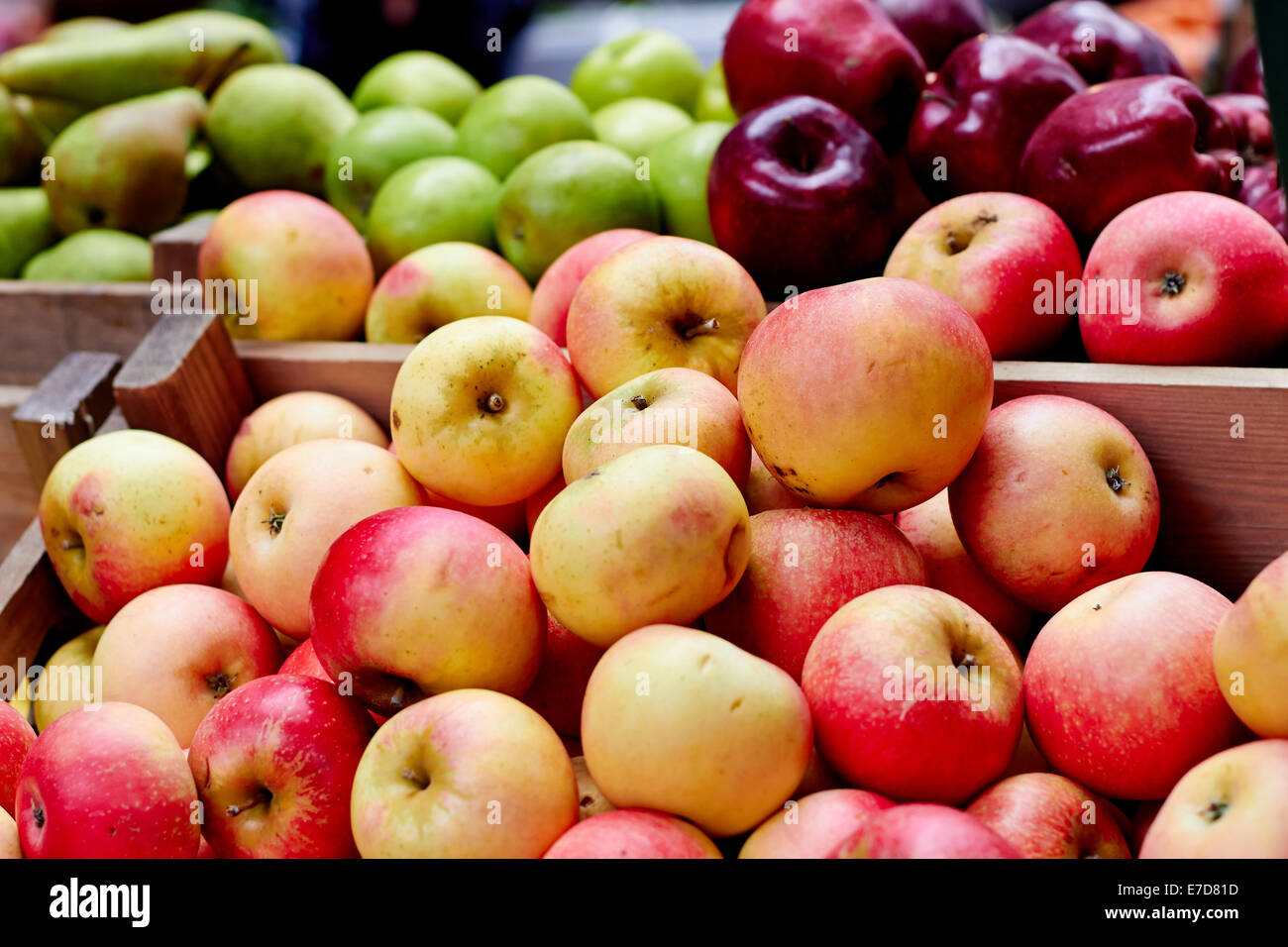 Яблоки купить рынок. Яблоки на рынке. Яблоки на базаре. Урожай яблок. Яблоки на прилавке.