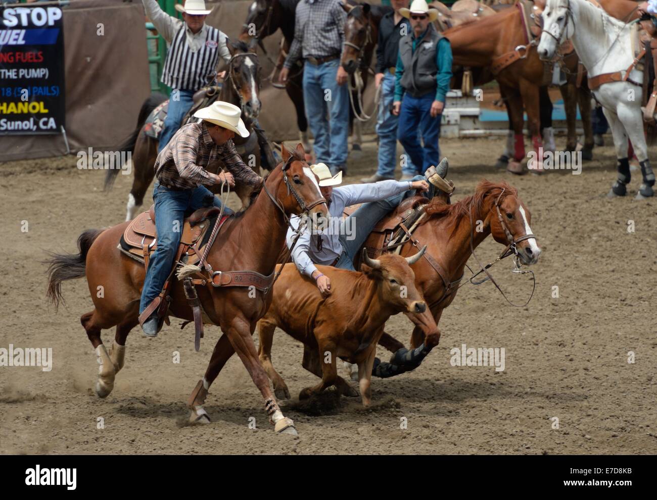 The Rowell Ranch Rodeo, Castro Valley CA Stock Photo Alamy