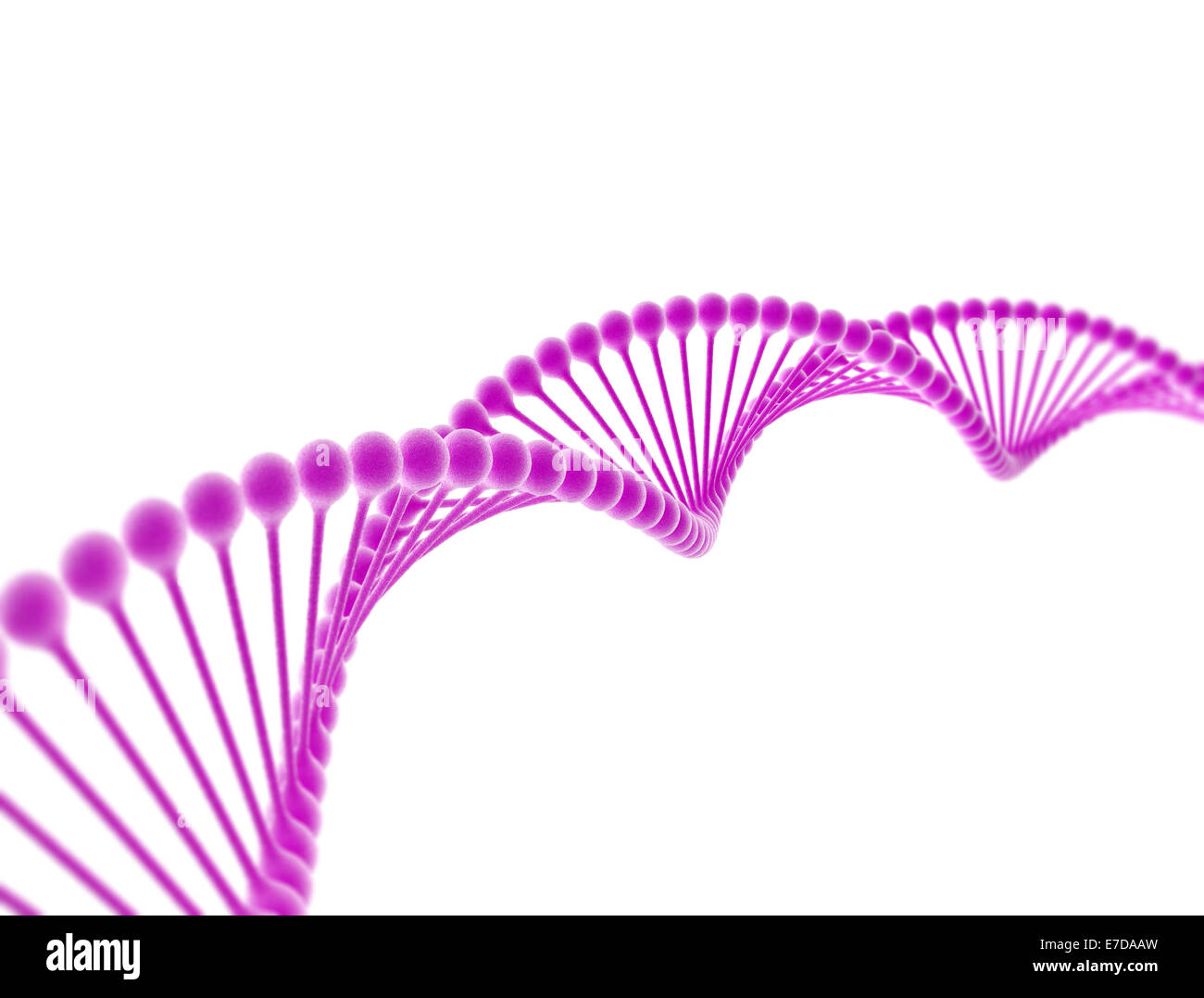 DNA strand isolated on white background Stock Photo