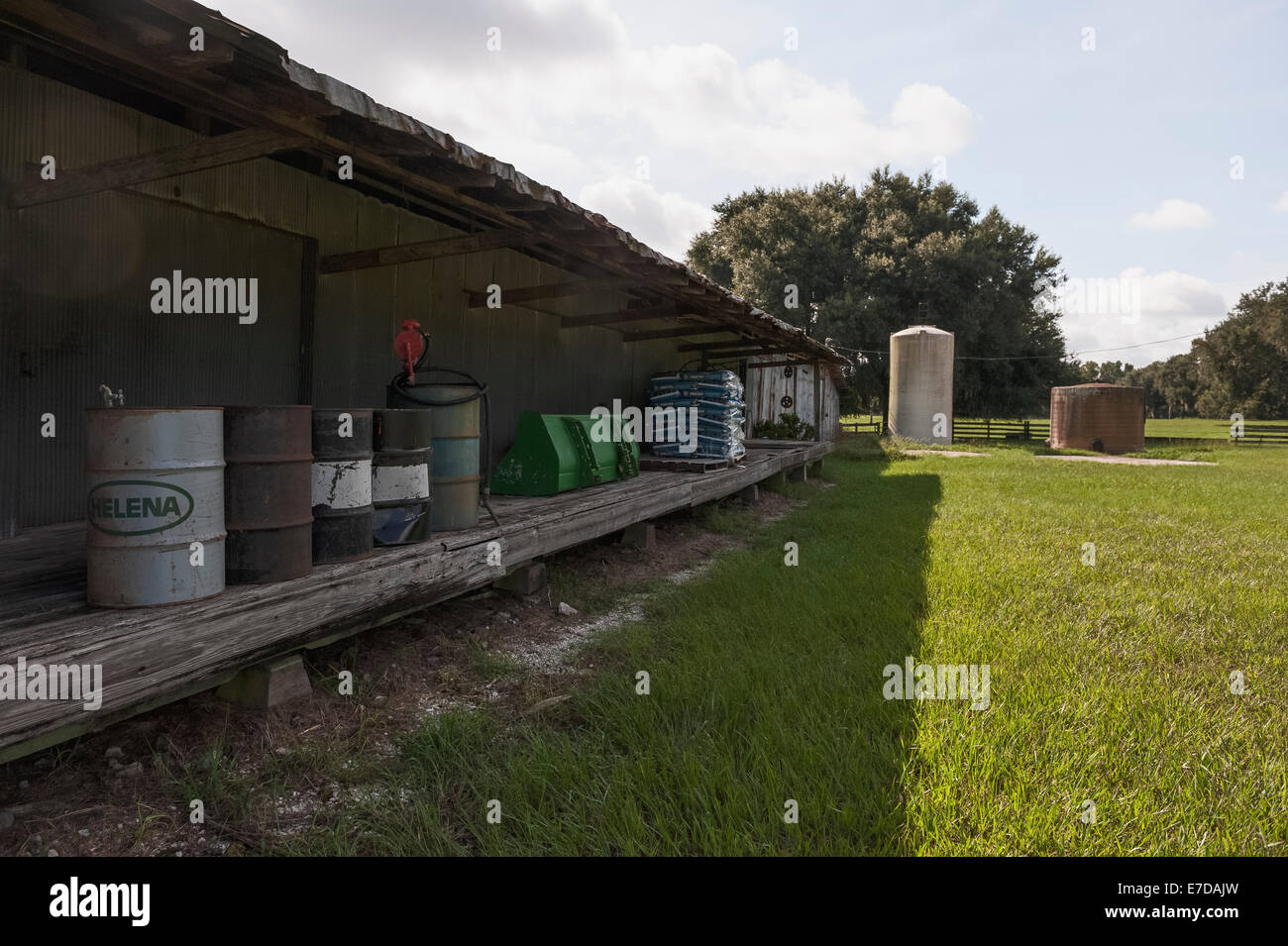 Beef farm located in Evinston, Florida USA Alachua County Stock Photo