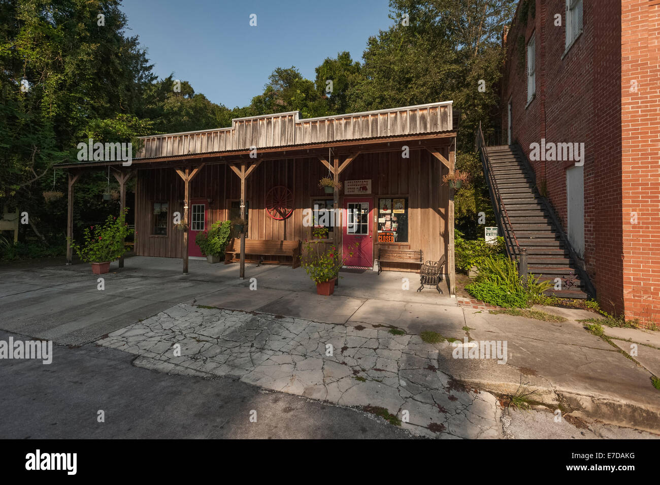 From the little historic Town of Micanopy, Florida and nestled