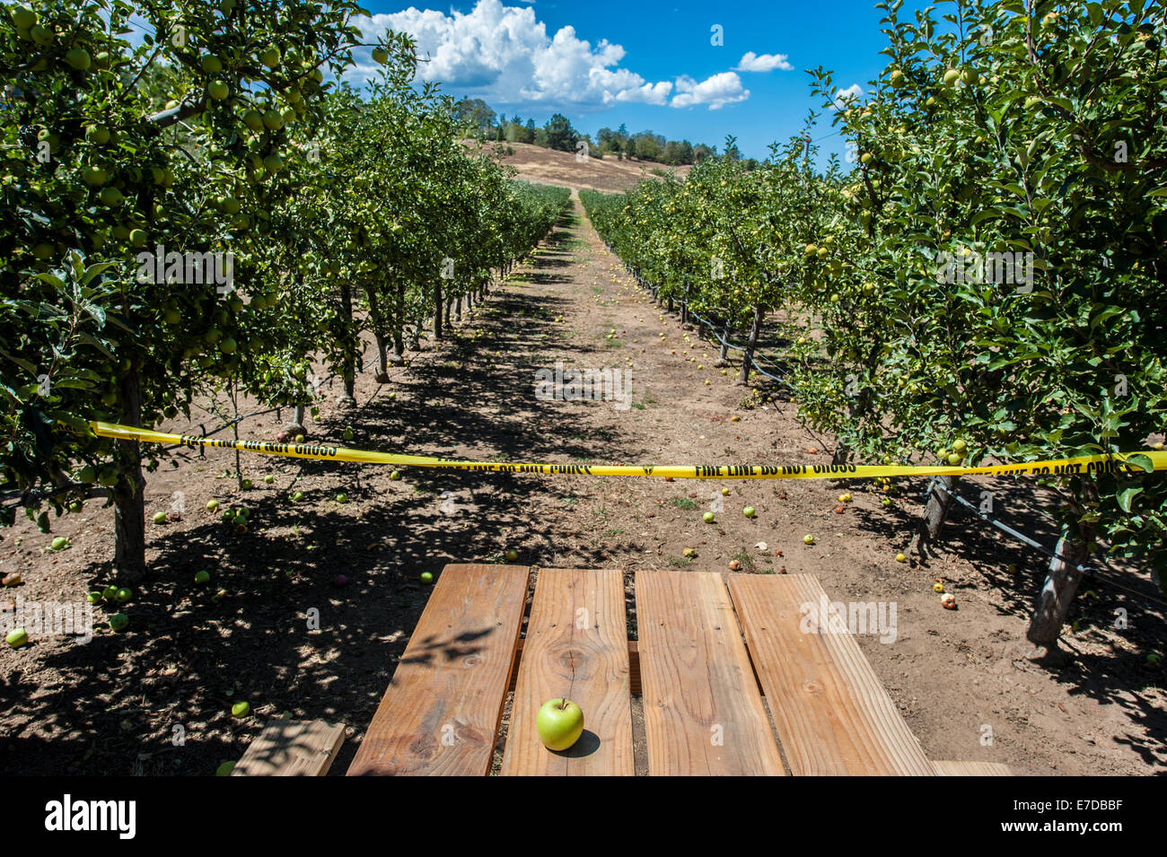 Largest orchard hires stock photography and images Alamy