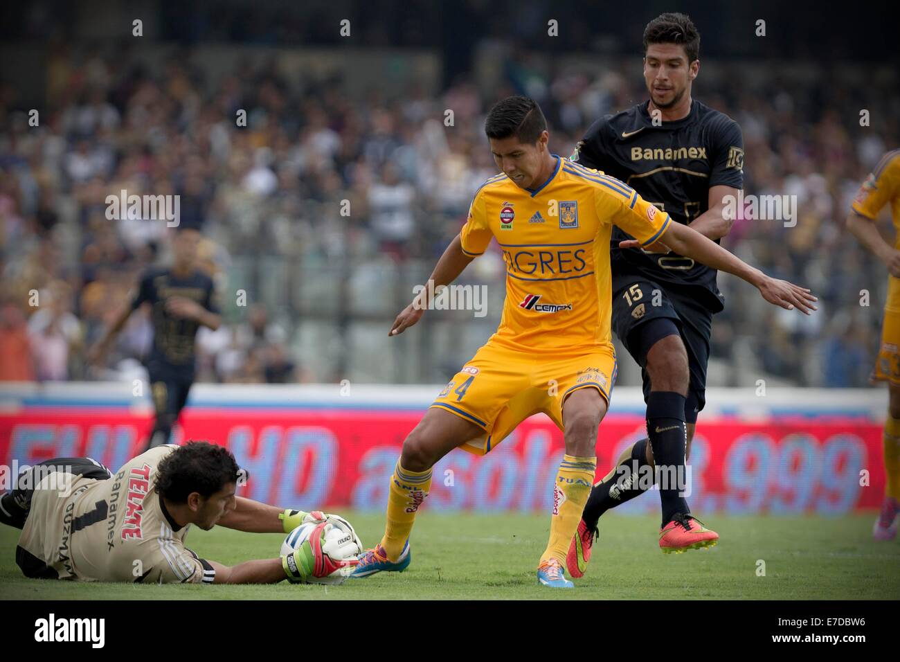 Mexico City, Mexico. 14th Sep, 2014. Eduardo Herrera (R) of UNAM's Pumas vies for the ball with Hugo Ayala (L) of Tigres during the match of the MX League Opening Tournament 2014, held at University Olympic Stadium, in Mexico City, capital of Mexico, on Sept. 14, 2014. Credit:  Alejandro Ayala/Xinhua/Alamy Live News Stock Photo