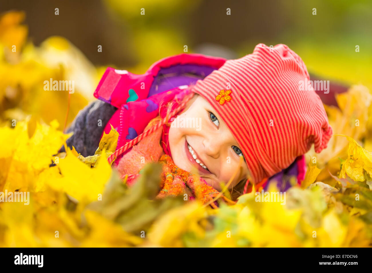 Little girl playing with autumn leaves Stock Photo - Alamy
