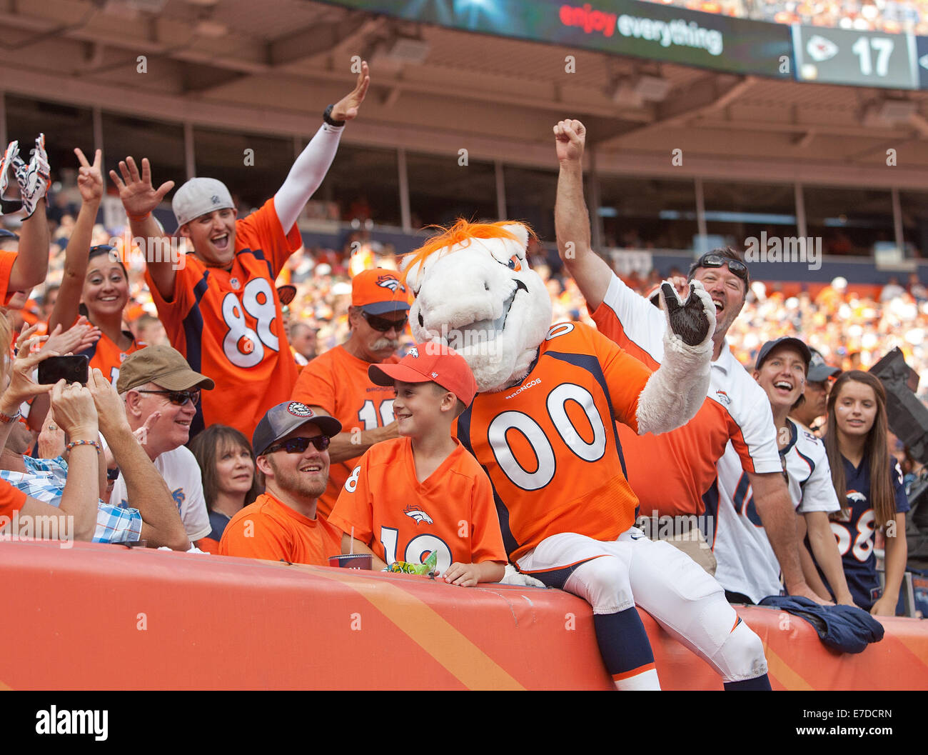 Denver, Colorado, USA. 14th Sep, 2014. Broncos Mascot MILES jumps into the North Stands to celebrate with fans after the Broncos score on a TD drive during the 2nd. half at Sports Authority Field at Mile High Sunday afternoon. The Broncos beat the Chiefs 24-17. Credit:  Hector Acevedo/ZUMA Wire/Alamy Live News Stock Photo
