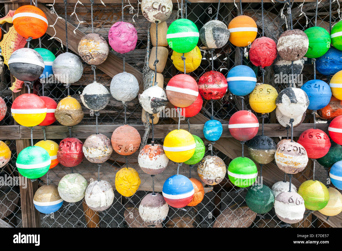 Colorful Styrofoam fishing net and crab lobster trap floats hanging on