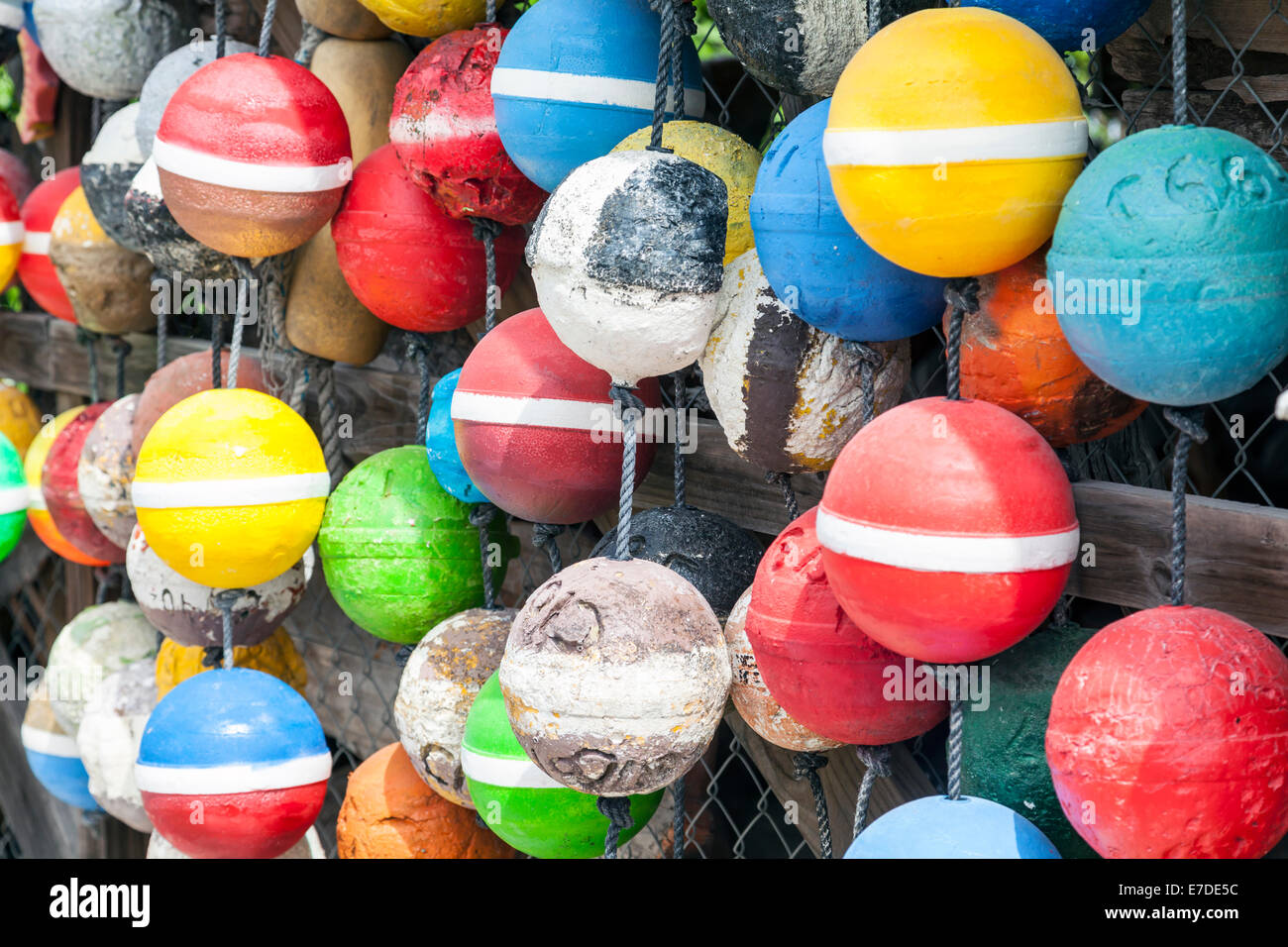 Colorful Styrofoam fishing net and crab lobster trap floats hanging on