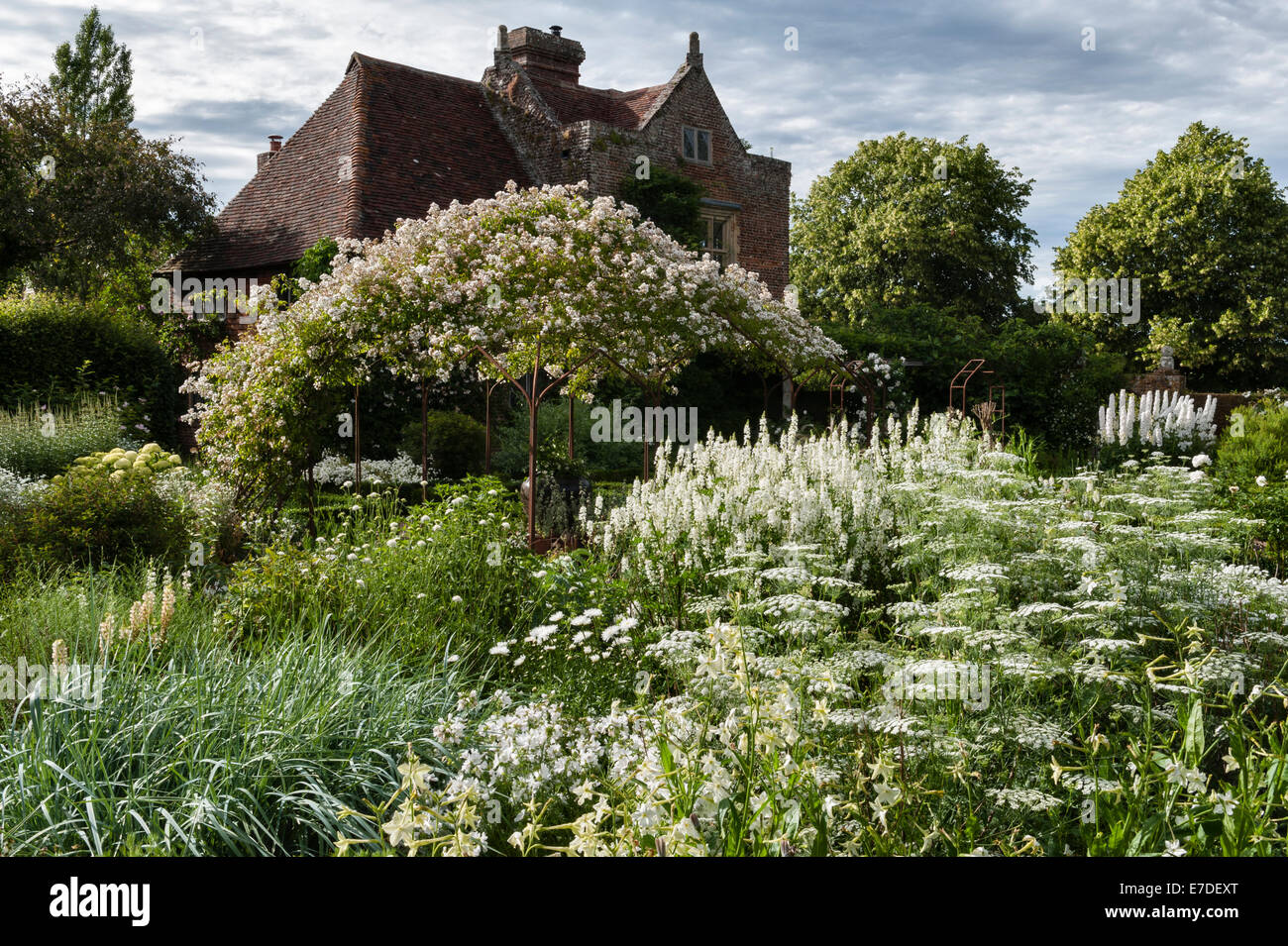 Sissinghurst Castle, Kent. The White Garden in summer. Pure white Rosa mulliganii grows over the arbour, with Ammi majus in the foreground Stock Photo