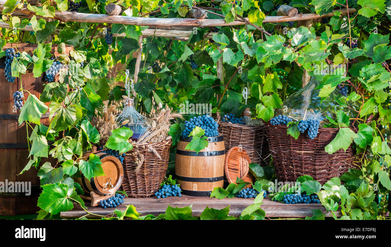 Old fashioned demijohn hi-res stock photography and images - Alamy