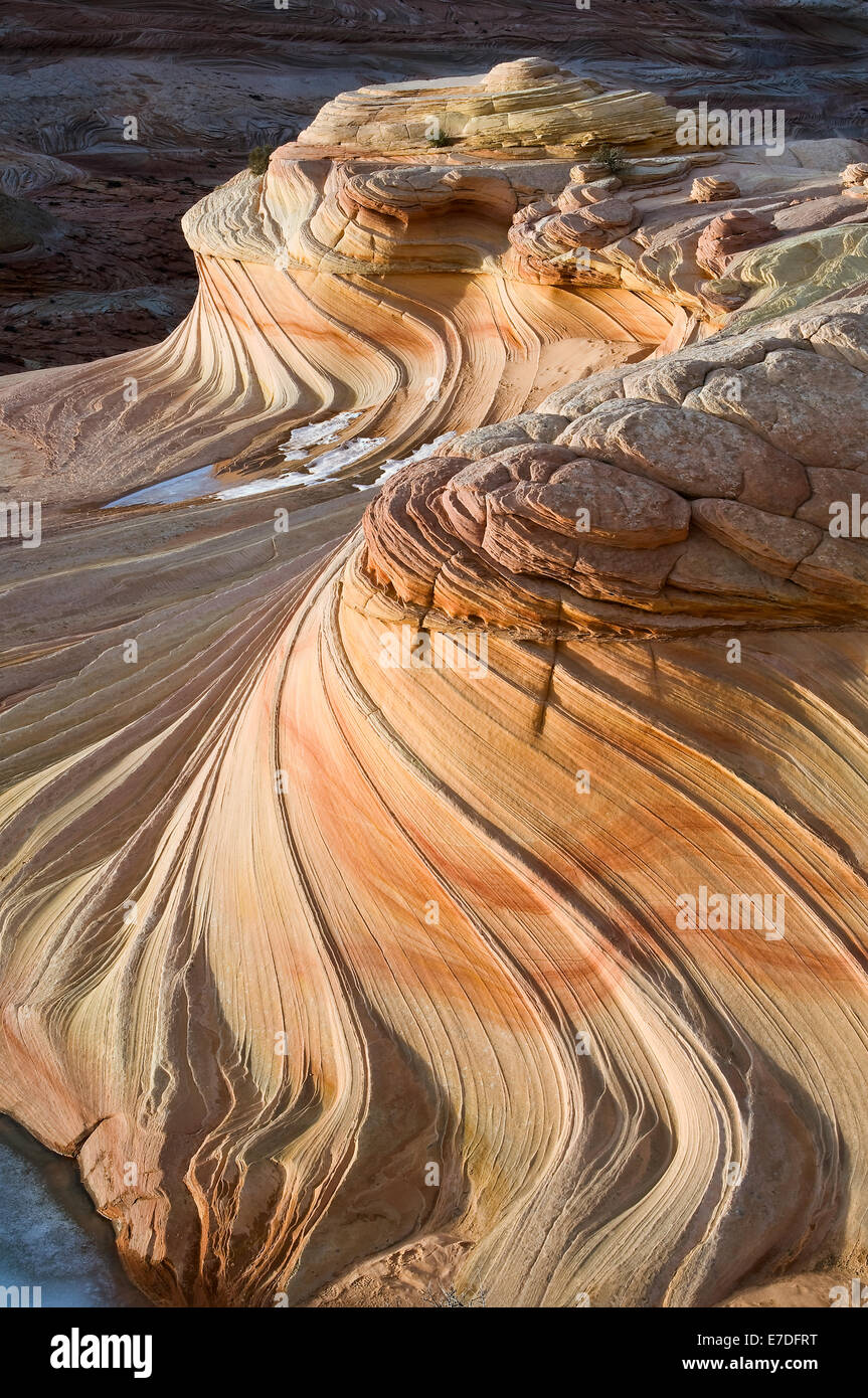 Swirling sandstone formations within the Vermillion Cliffs region glow with vibrant color as the sun prepares to slip below the Stock Photo
