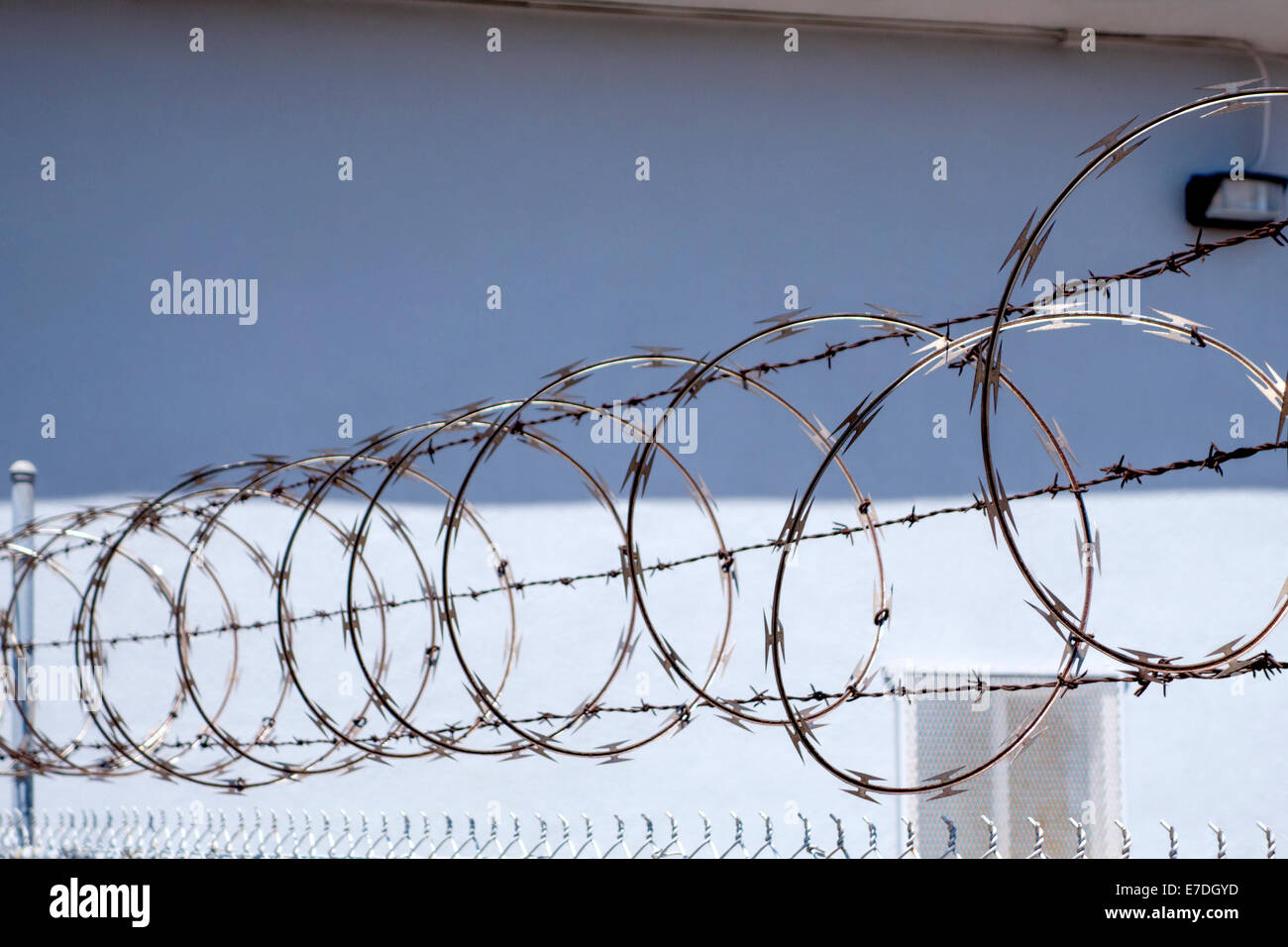 Barbed wire over a fence, San Diego, California Stock Photo
