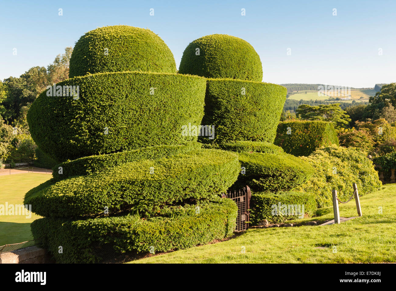 Sixteenth century Crathes Castle, Banchory, Scotland, UK. The yew topiary dates from 1702 Stock Photo