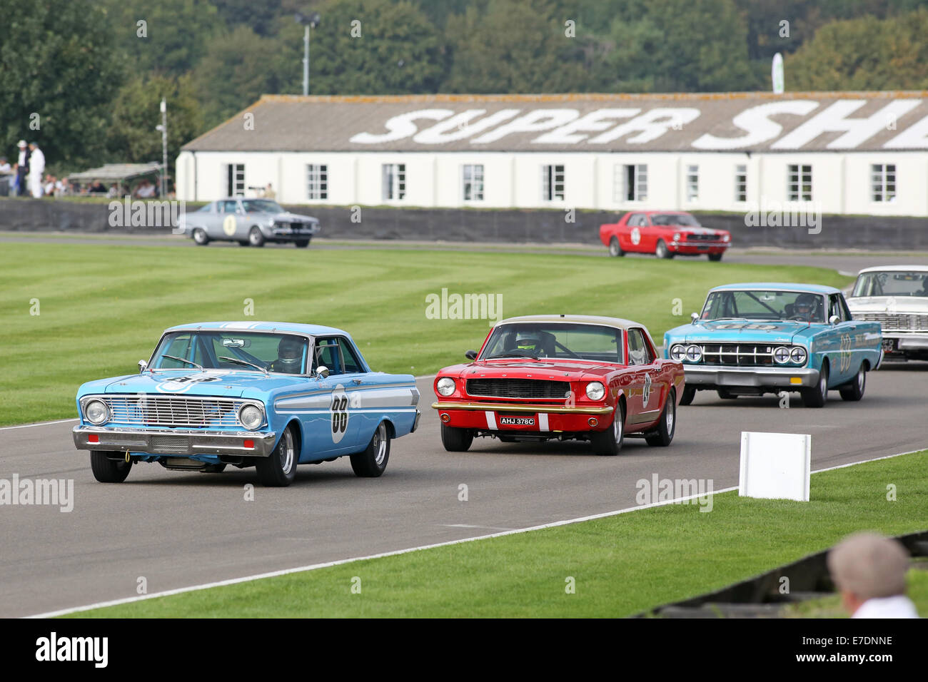 Chichester, West Sussex, UK. 13th Sep, 2014. Pictures from the Goodwood Revival 2014 - The Shelby Cup - A race for saloon cars powered by small-block V8 engines on the 60th anniversary of the small-block V8 engine. A large number of Ford Mustangs mariking the car's 50th anniversary took on other American classics such as Ford Falcon, Plymouth Barracuda, Mercury Comet Cyclone and Dodge Dart. Picture shows: Rob Hall driving a 1964 Ford Falcon Spirit Credit:  Oliver Dixon/Alamy Live News Stock Photo