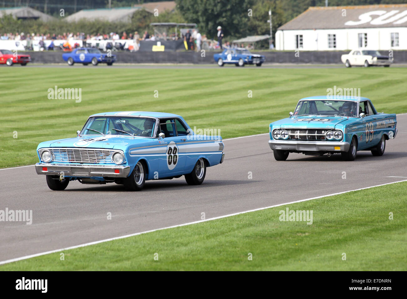 Chichester, West Sussex, UK. 13th Sep, 2014. Pictures from the Goodwood Revival 2014 - The Shelby Cup - A race for saloon cars powered by small-block V8 engines on the 60th anniversary of the small-block V8 engine. A large number of Ford Mustangs mariking the car's 50th anniversary took on other American classics such as Ford Falcon, Plymouth Barracuda, Mercury Comet Cyclone and Dodge Dart. Picture shows: Rob Hall driving a 1964 Ford Faclon Spirit Credit:  Oliver Dixon/Alamy Live News Stock Photo