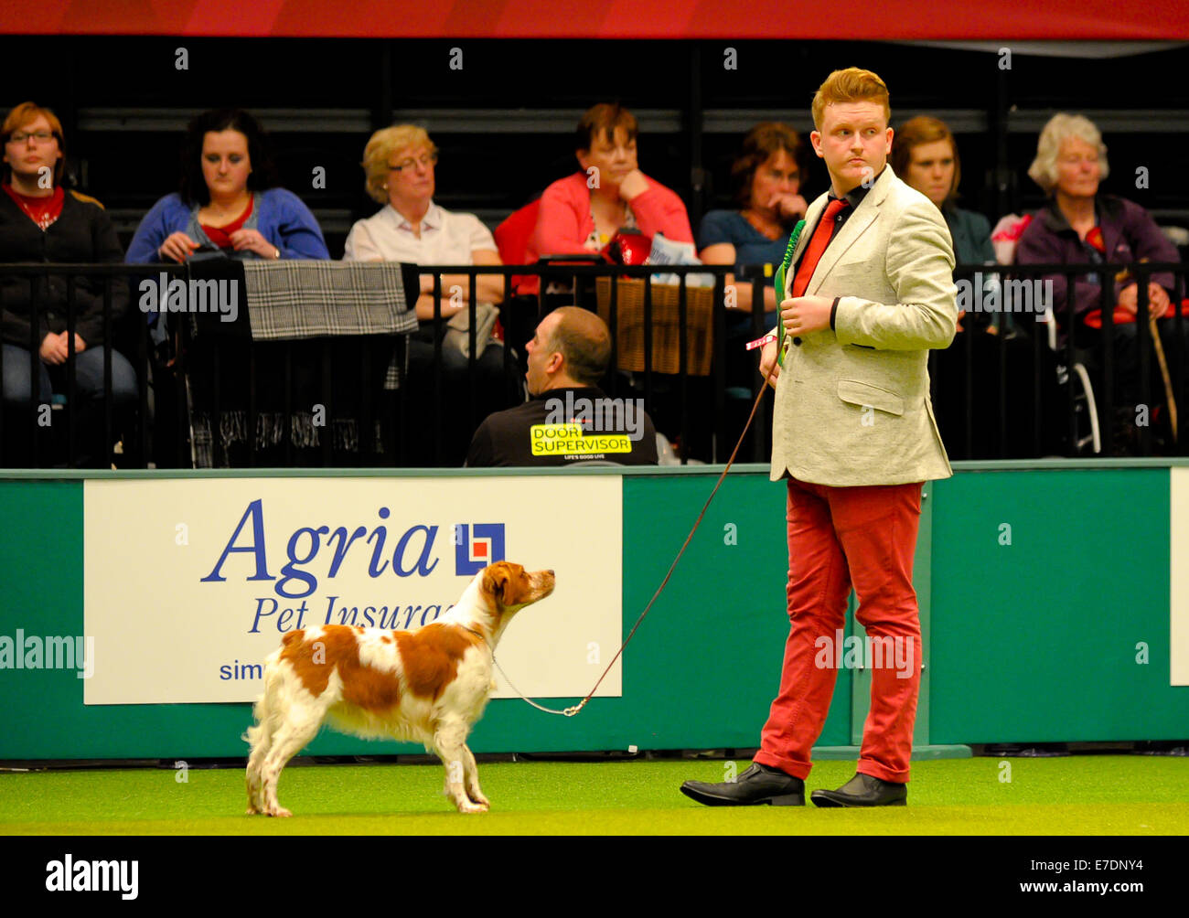 Crufts 2014 Agility Finals and Presentations Parade of Gamekeepers - Group Judging - Gundog  Featuring: Atmosphere Where: Birmingham, United Kingdom When: 09 Mar 2014 Stock Photo