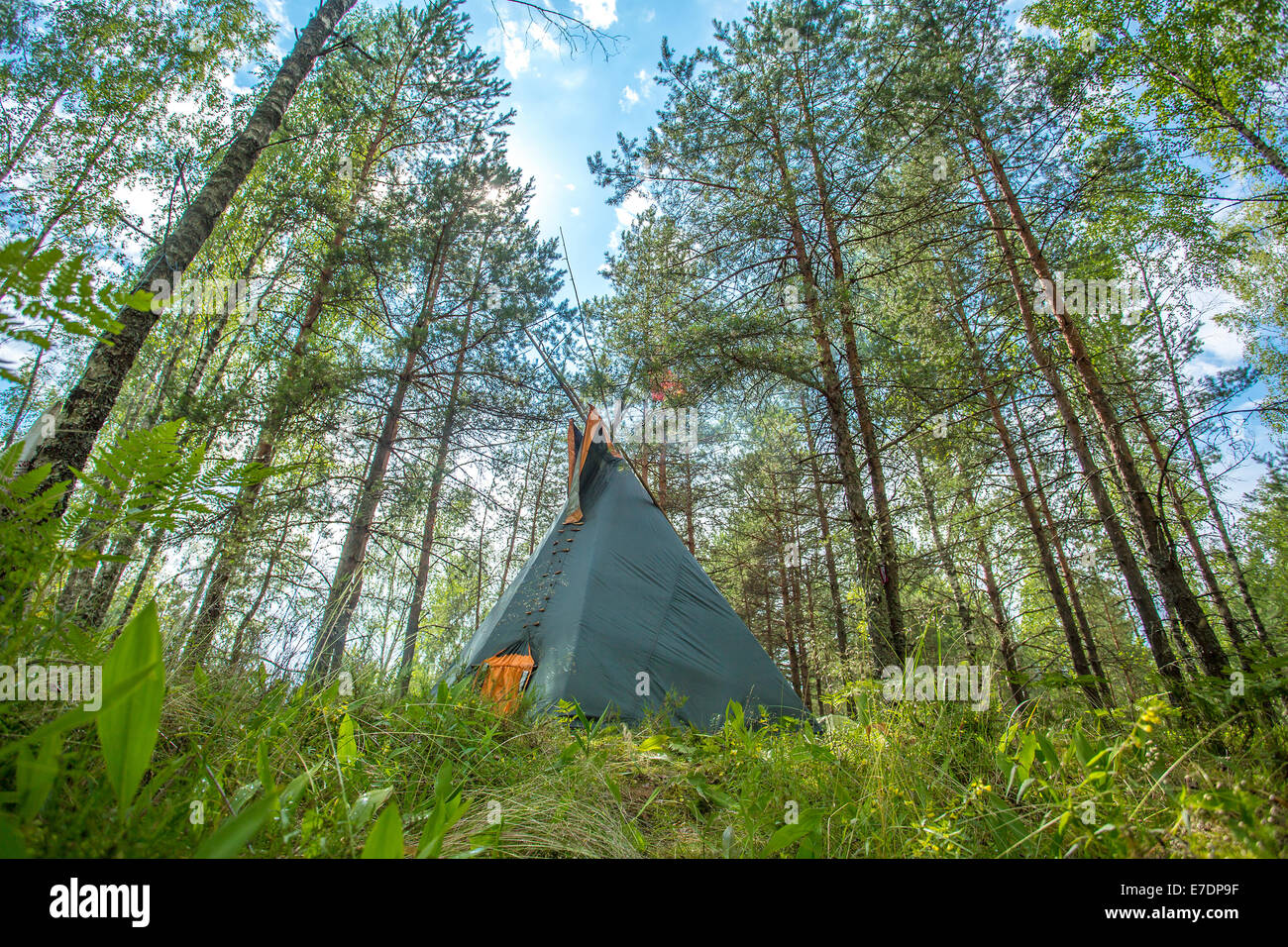 Traditional Indian tipi (teepee) house in the forest Stock Photo