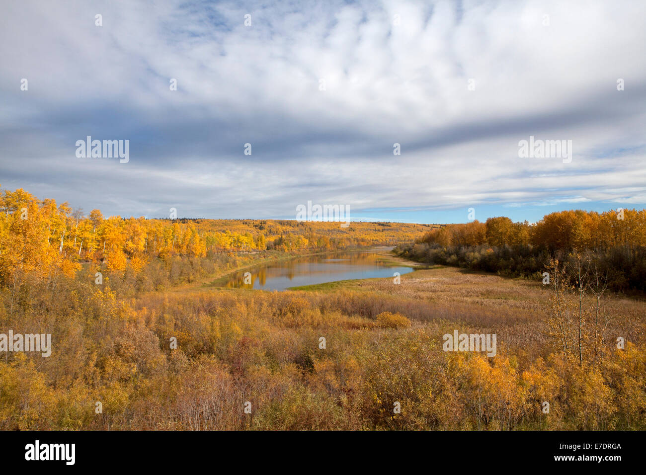 Landscape view of Boreal Forest in autumn, Alberta, Canada Stock Photo