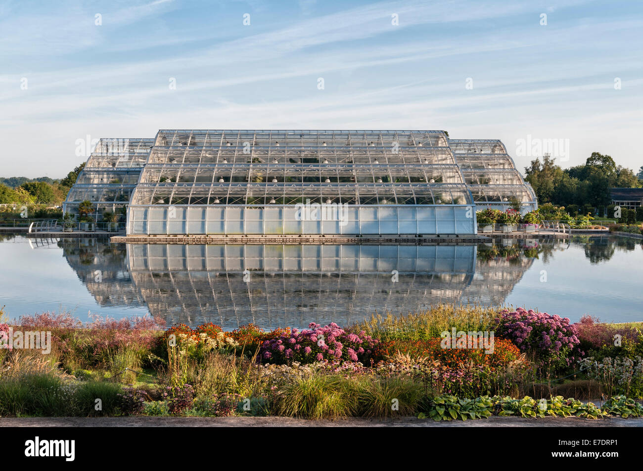 The Royal Horticultural Society (RHS) gardens, Wisley, Surrey, UK. The lake and glasshouse at sunrise in September Stock Photo