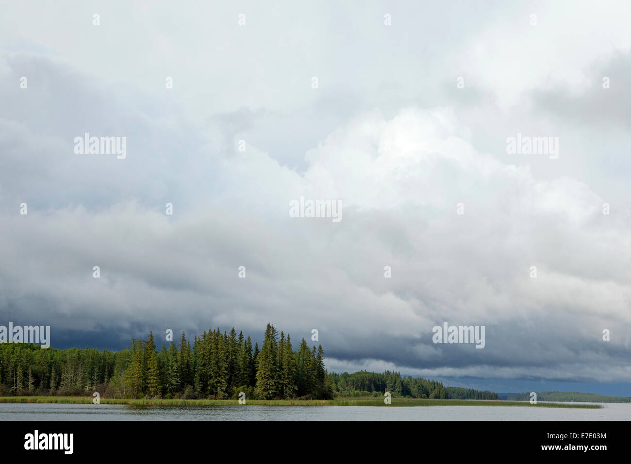 Crane Lake Alberta, Canada Stock Photo Alamy