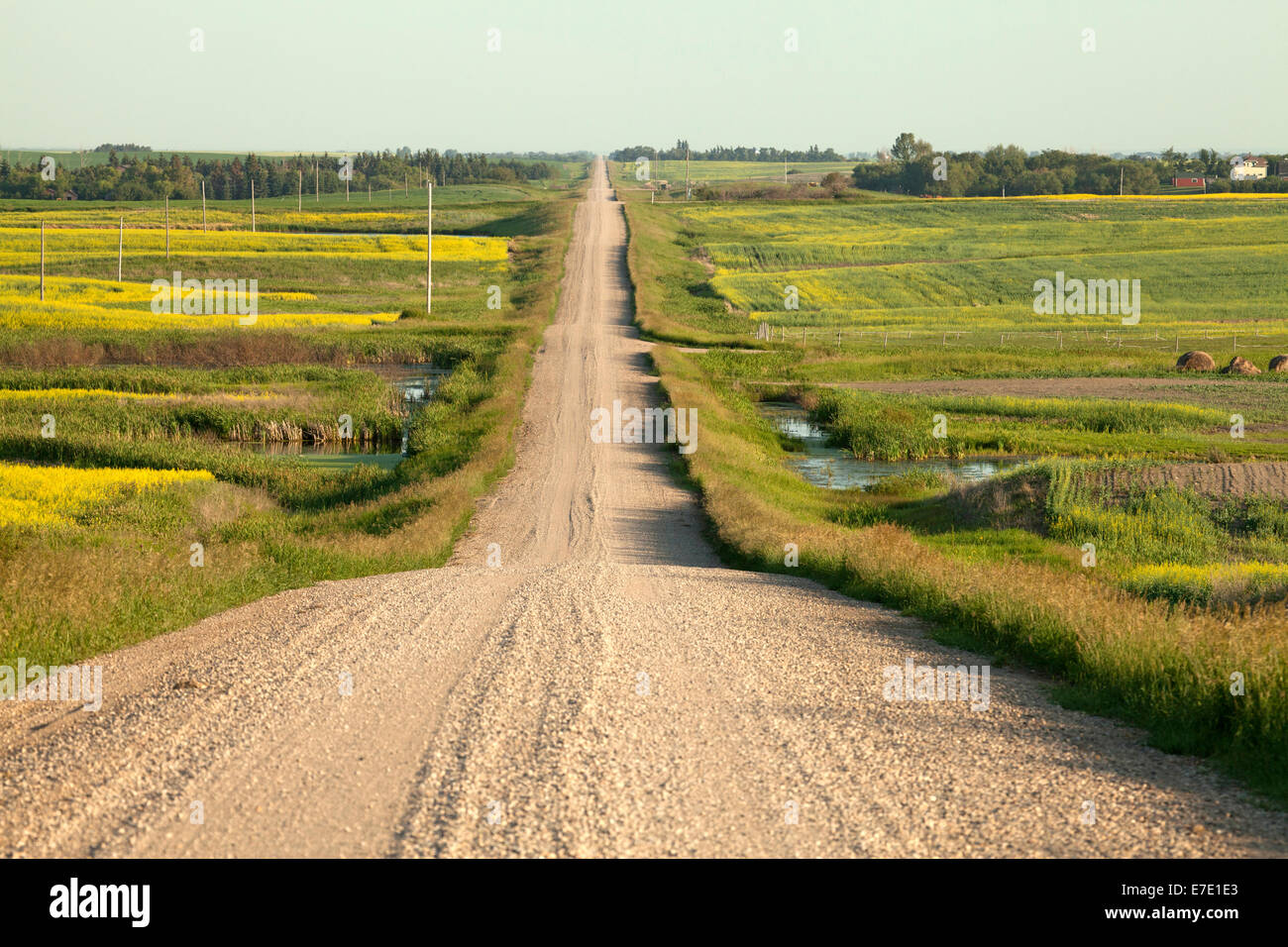 Farmland, Saskatchewan, Canada Stock Photo