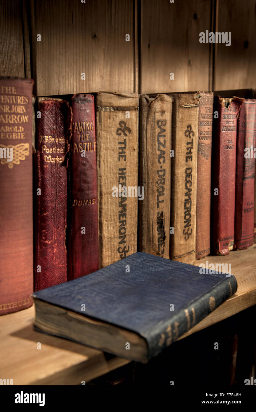 Vintage hardback books on a wooden bookshelf. Stock Photo