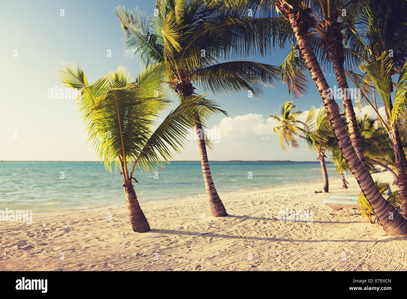 tropical beach with palm trees Stock Photo - Alamy