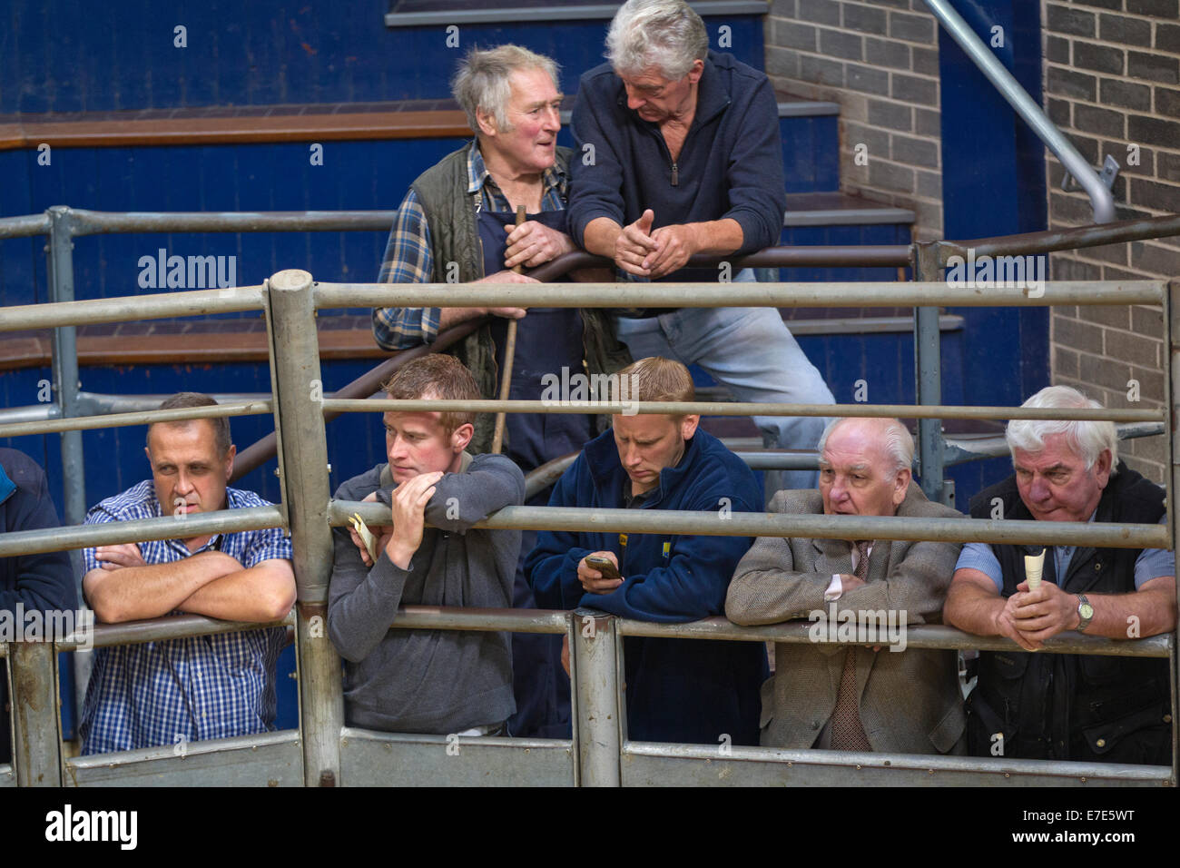 Harrison & Hetherington farmstock auctioneers, farmers attend the