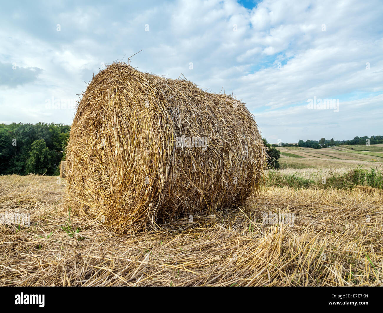 Hay bale drying on the open air Stock Photo
