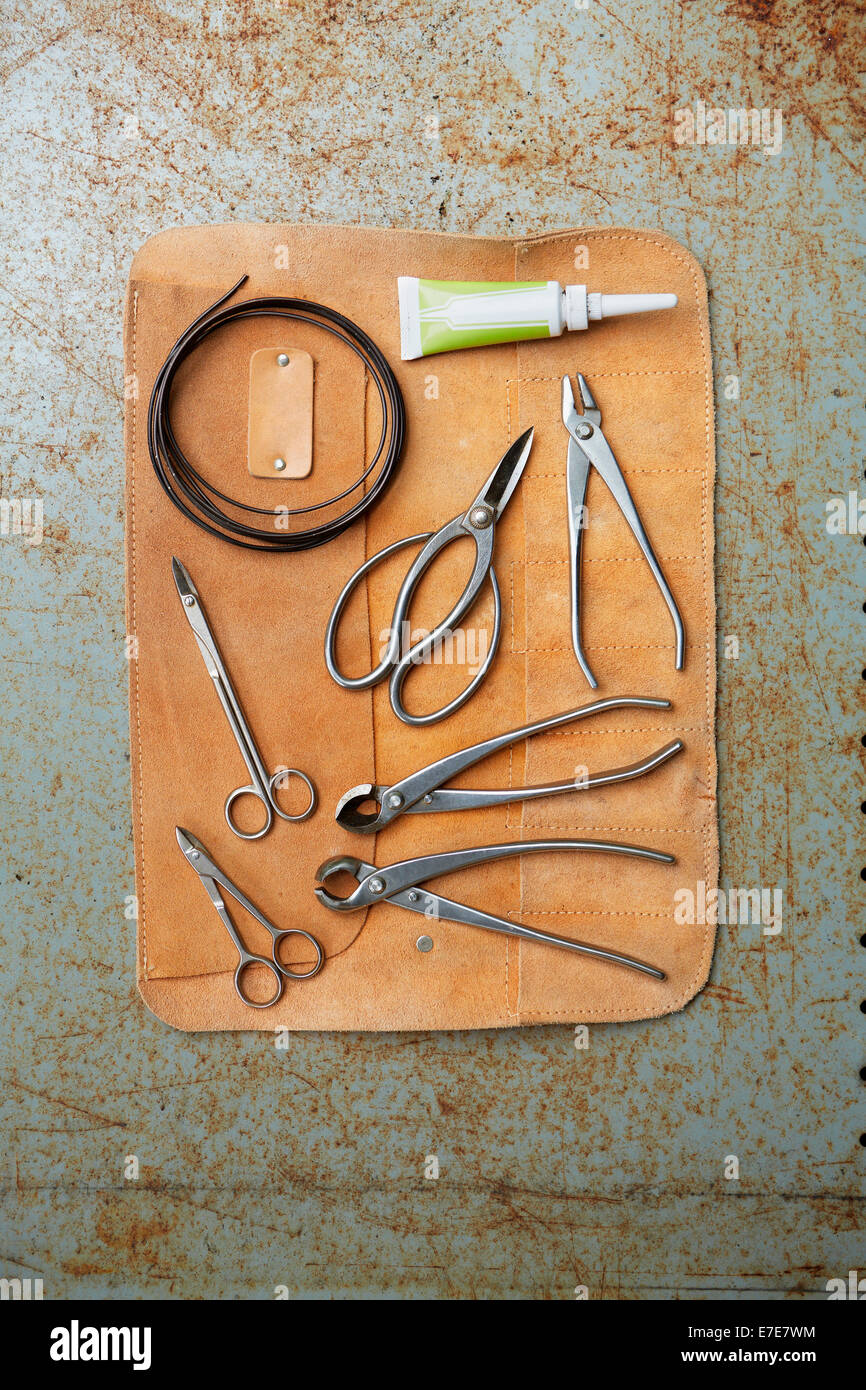 Bonsai tree pruning equipment Stock Photo