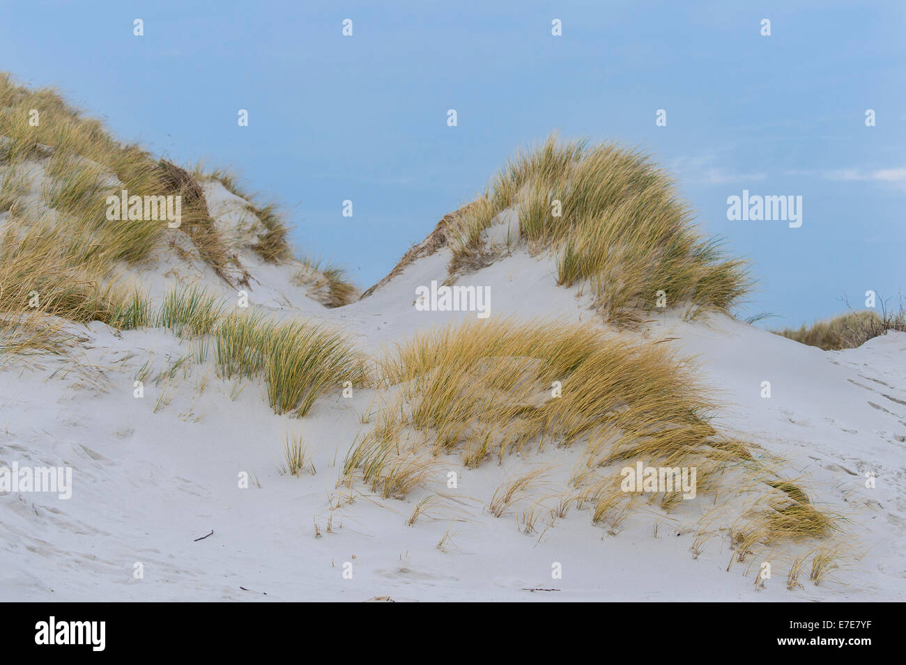 sanddunes, helgoland, north sea, germany Stock Photo