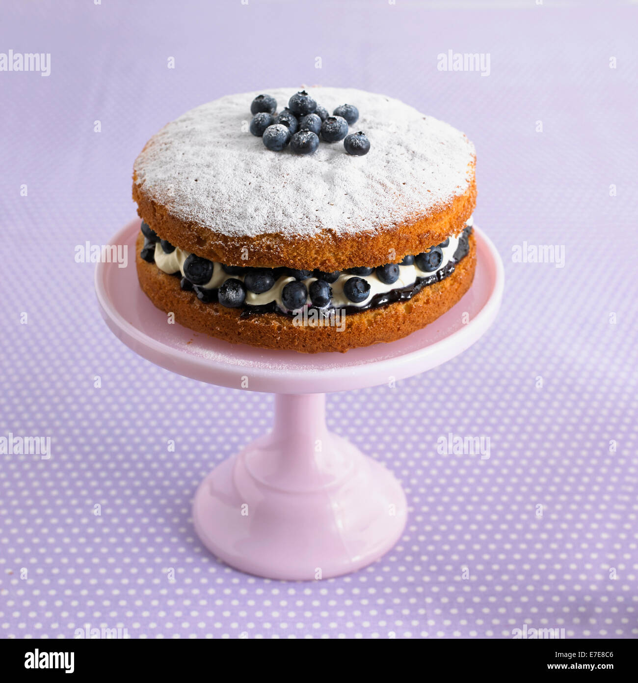 Blueberry sponge cake Stock Photo