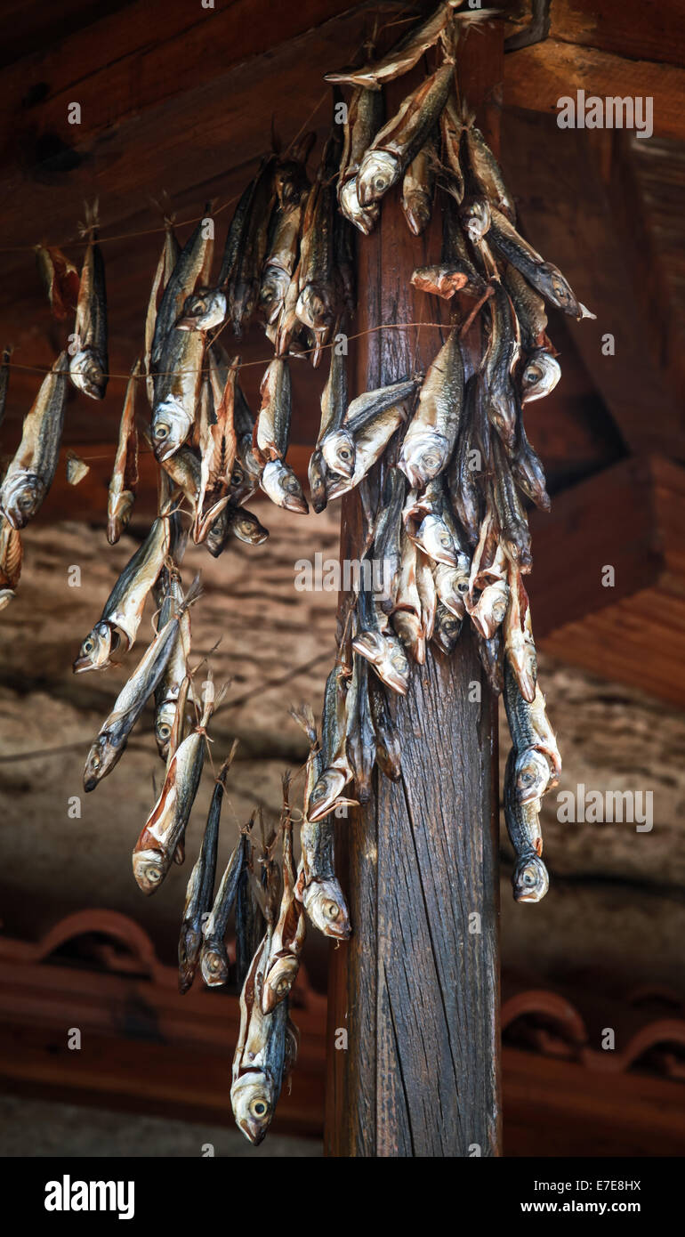 Small salted fish is dried on air Stock Photo