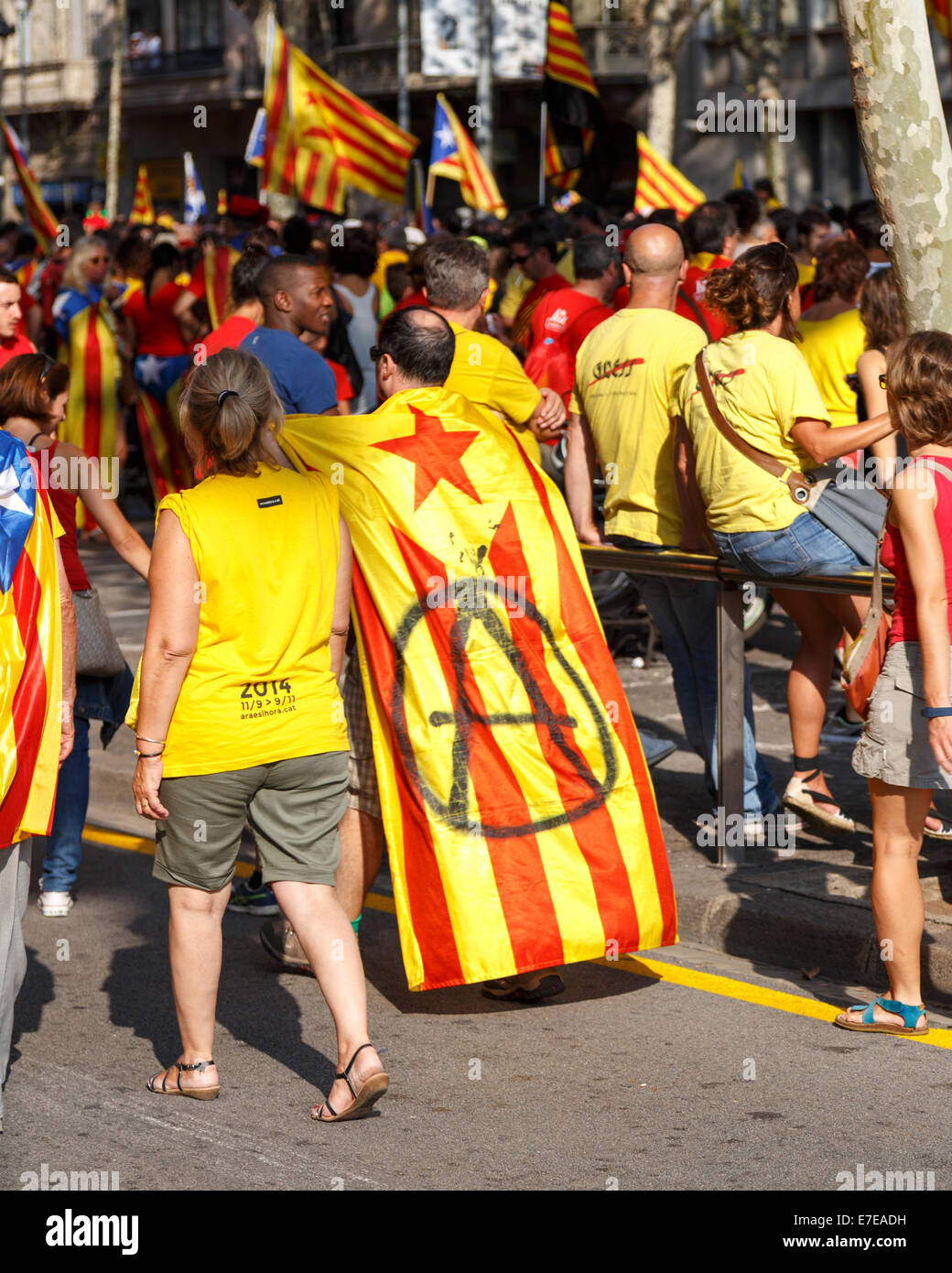 Barcelona, Spain - September 11, 2014: People call for Catalan independence on the 300th Catalan National Day in the streets of  Stock Photo