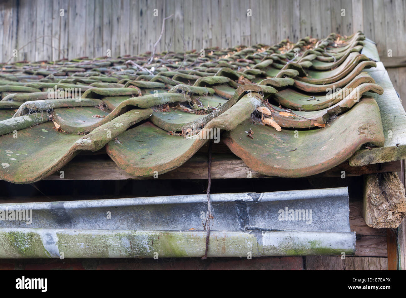 old roof in süderbrarup, schleswig-flensburg district, schleswig-holstein, germany Stock Photo