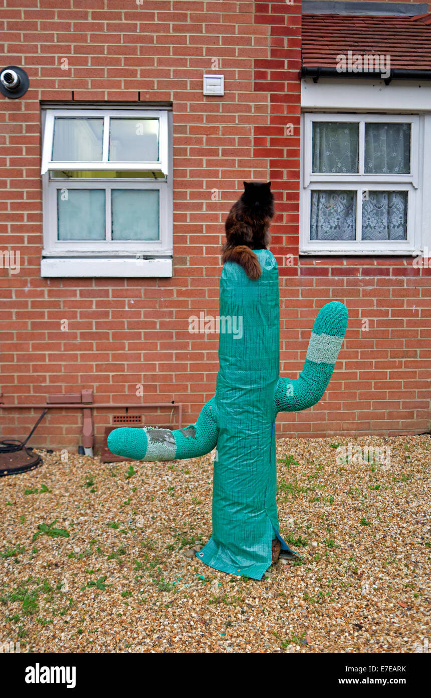 A cat sits on top of a fake cactus outside a London home Stock Photo