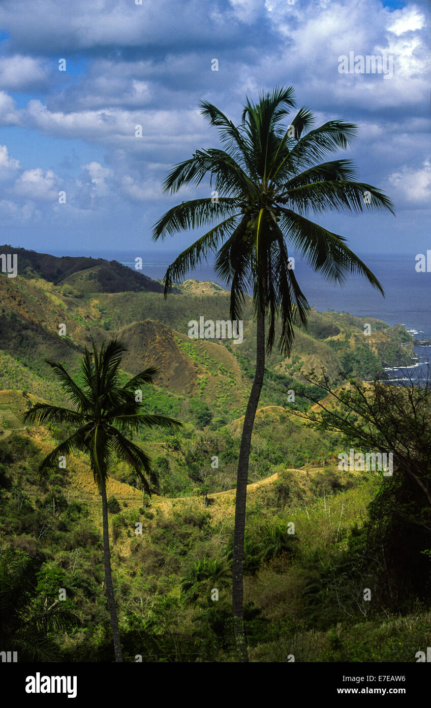 HABITAT CLEARANCE FROM HILLS FOR FARMING IN TOBAGO Stock Photo
