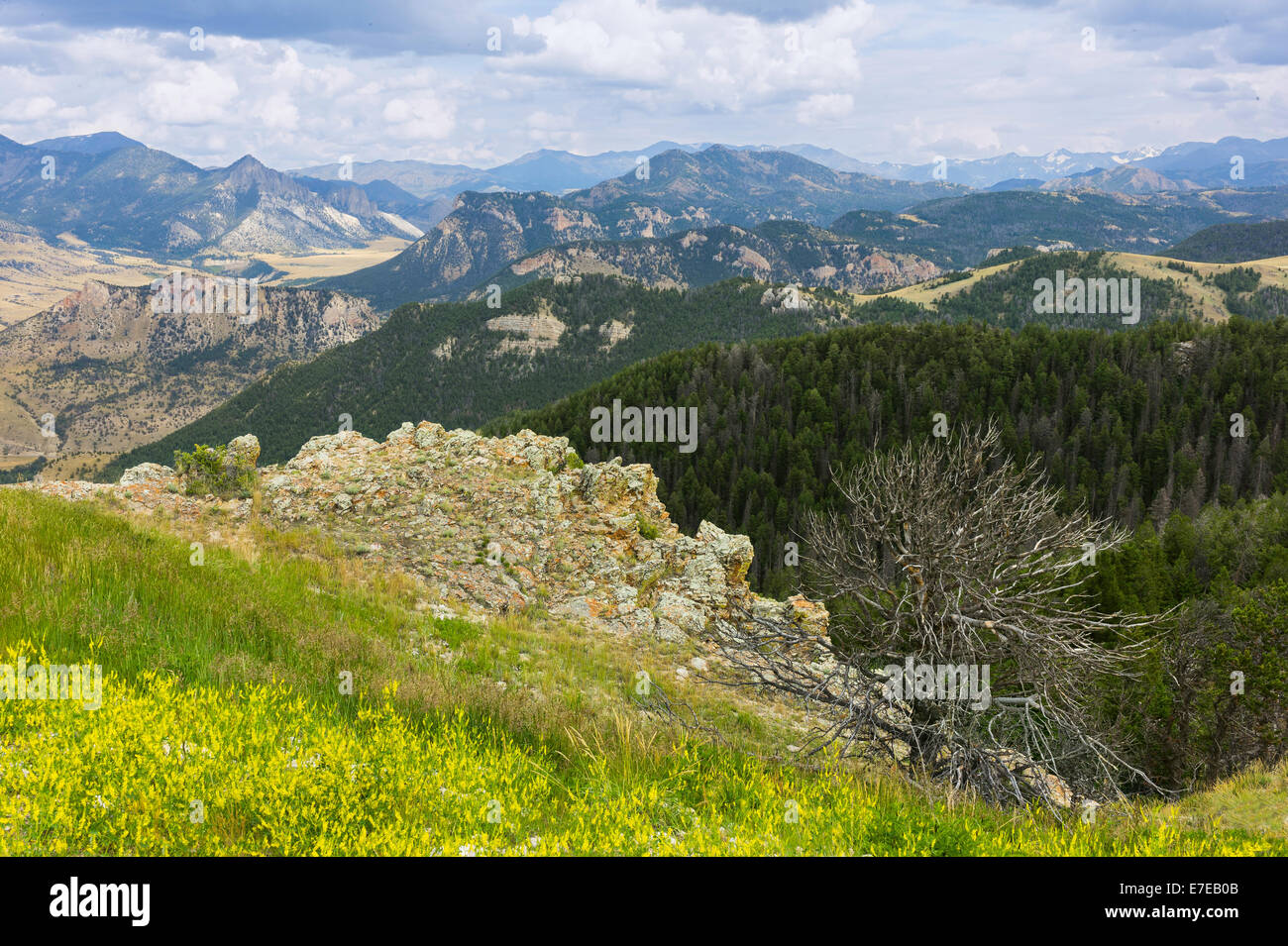 View across the rugged undulating landscape of the Beartooth mountains as shot from the Bear Tooth Pass Highway, Montana, USA Stock Photo
