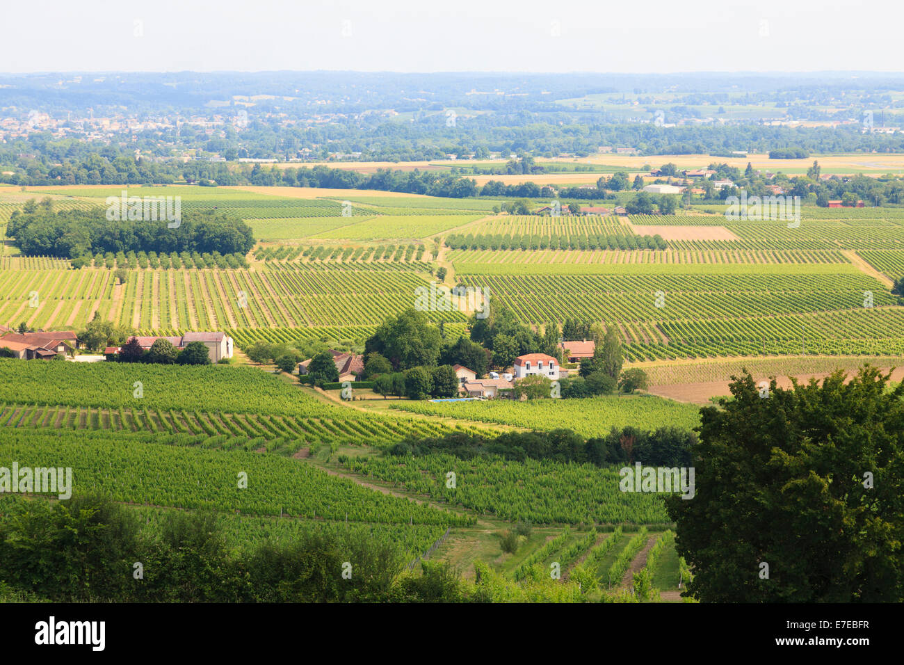 The wine growing countryside around the Chateau de Monbazillac France. Stock Photo
