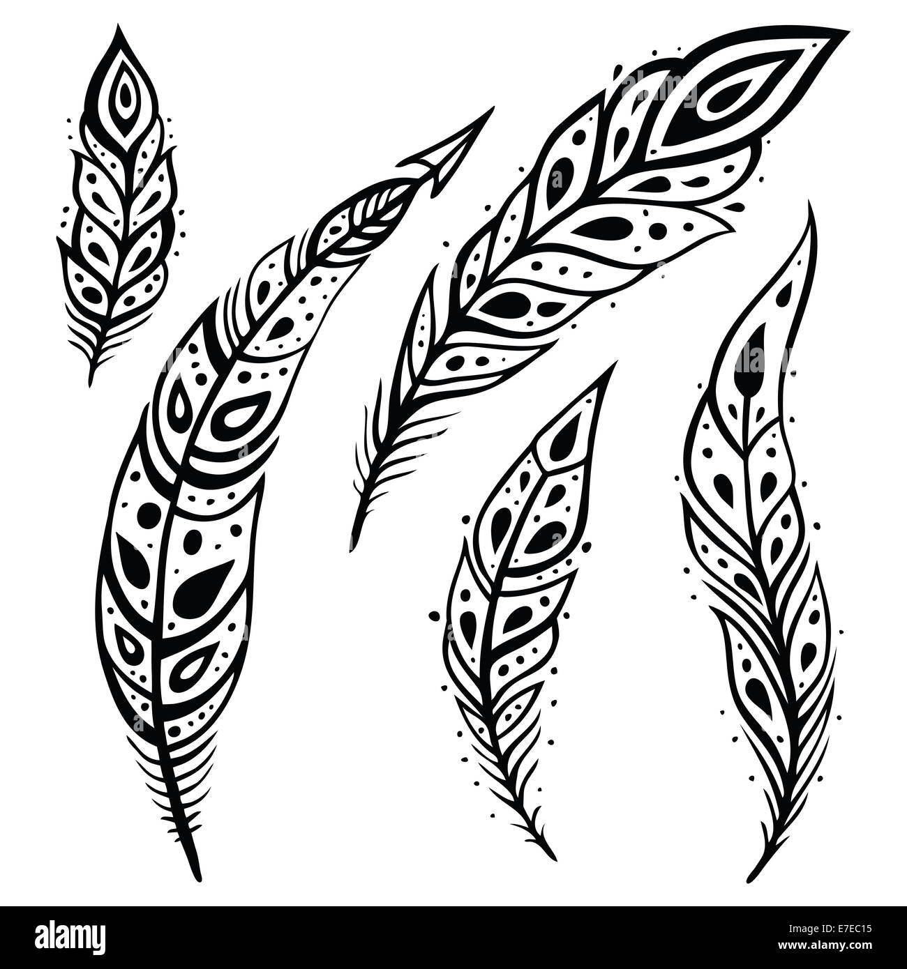 Peacock Feather set Stock Photo - Alamy