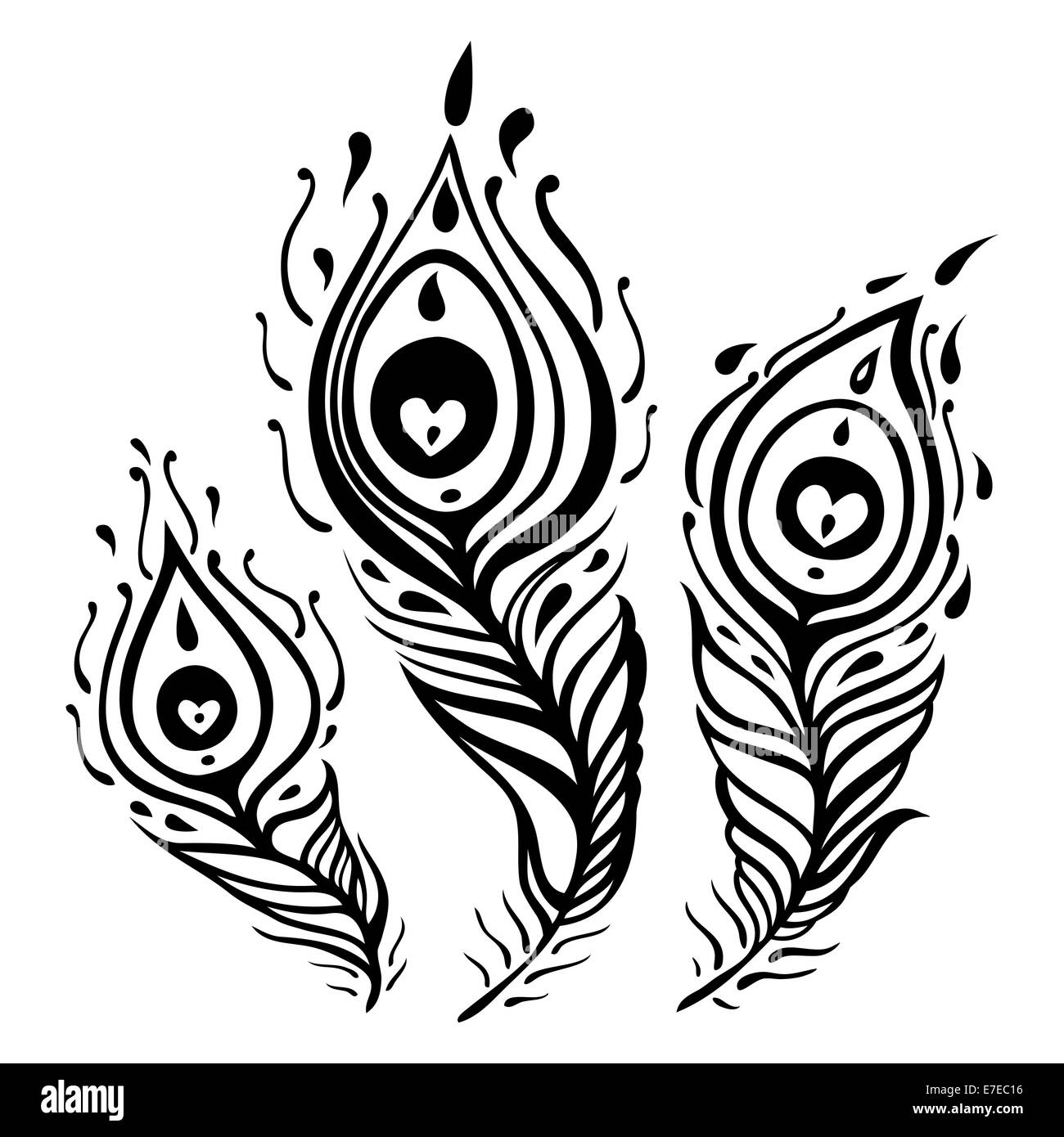 Peacock Feather Black and White Stock Photos & Images Alamy