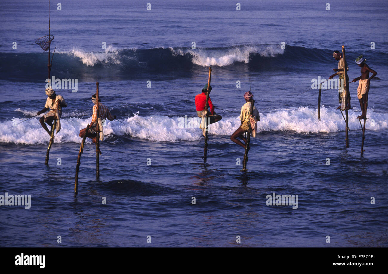 STILT FISHERMEN FISHING FOR SMALL FISH IN THE EARLY MORNING SRI LANKA ...