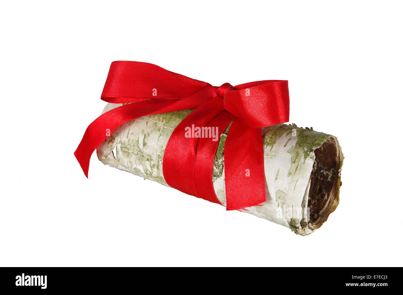 rolled up in roll birch's bark on white background, Stock Photo