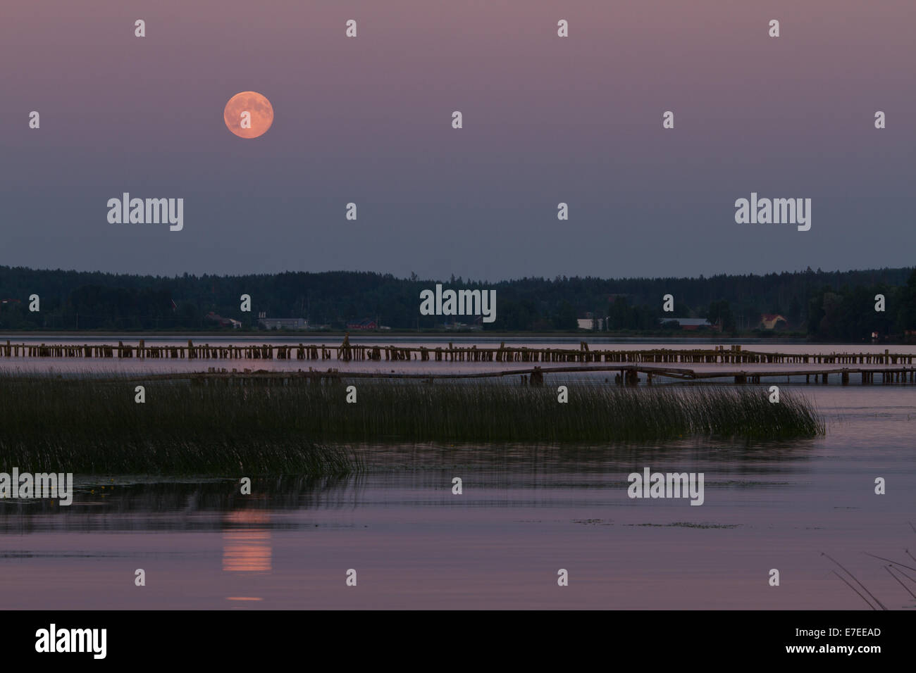 summer night super moon Stock Photo - Alamy