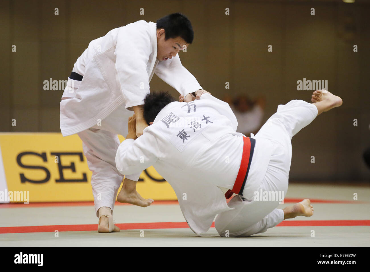 What is the Role of a Judo Massage Therapist? What is the Role of a Judo Massage Therapist?