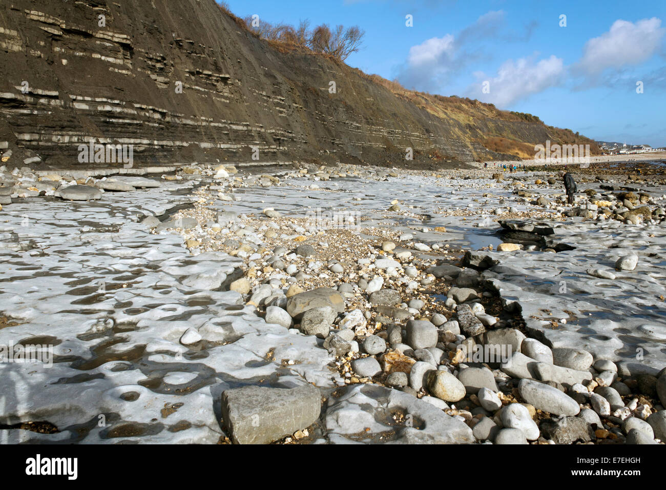 Limestone pavement in the Lower Lias formation on Monmouth Beach, Lyme Regis.  On the Jurassic Coast of Dorset Stock Photo